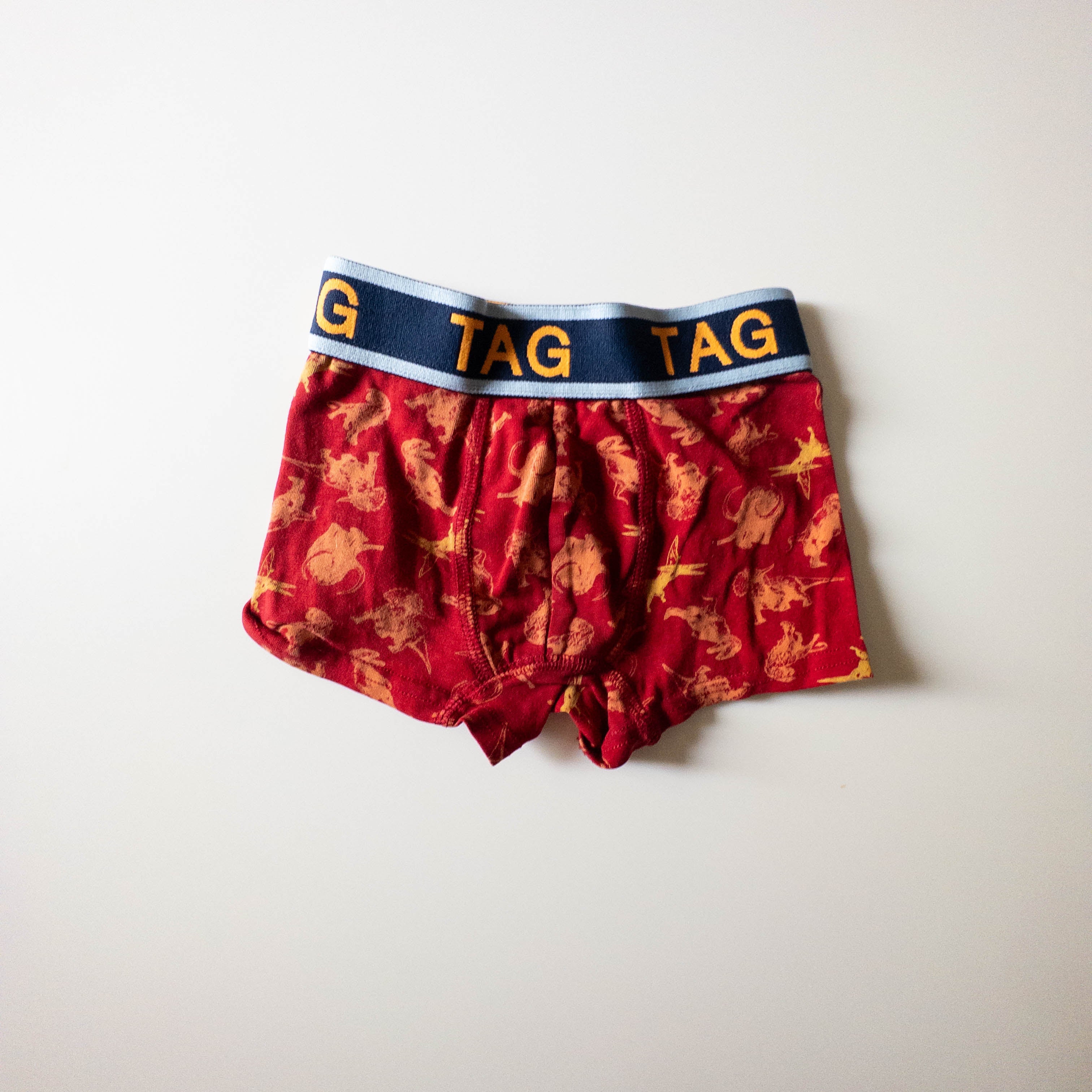 Tag - Boxer - 4 ans