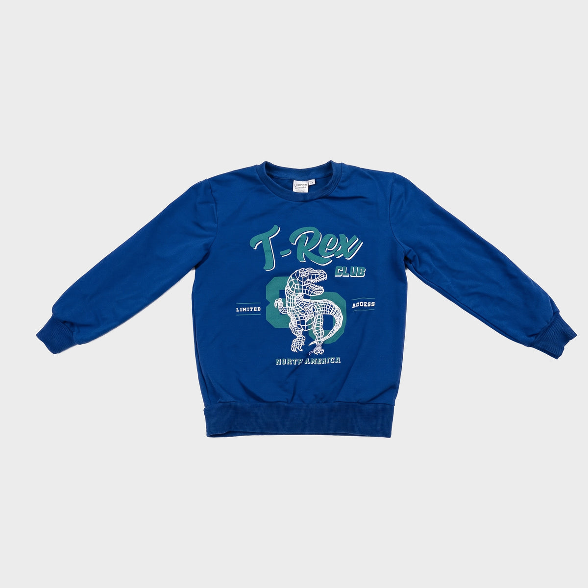 Tag - Pull - 5 ans