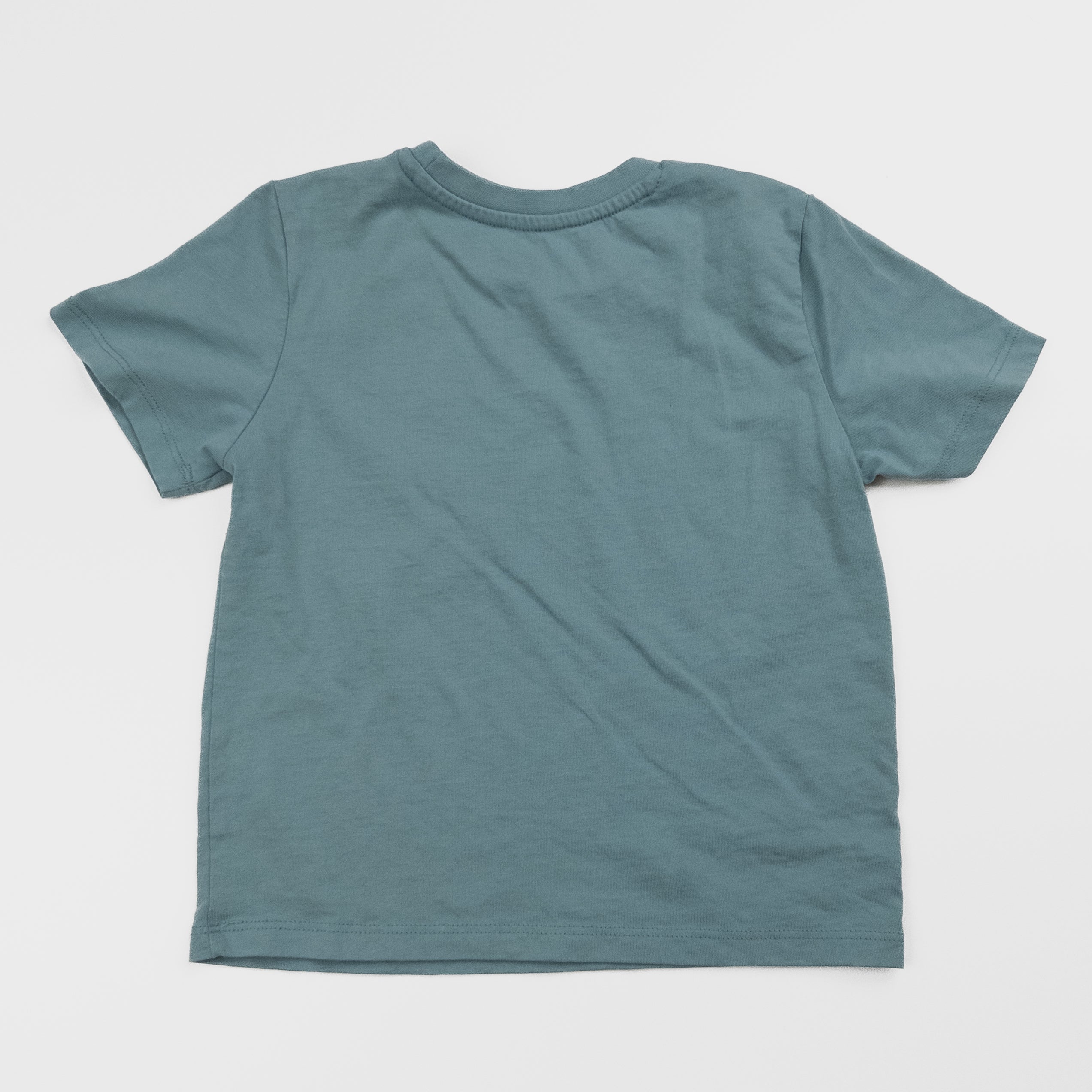 Disney - T-Shirt - 5 ans