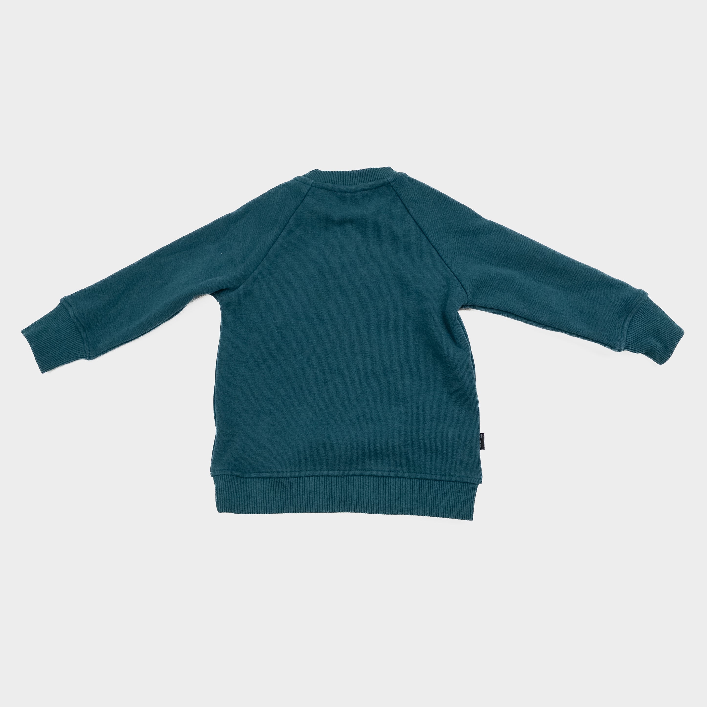 Birdz - Pull - 2 ans