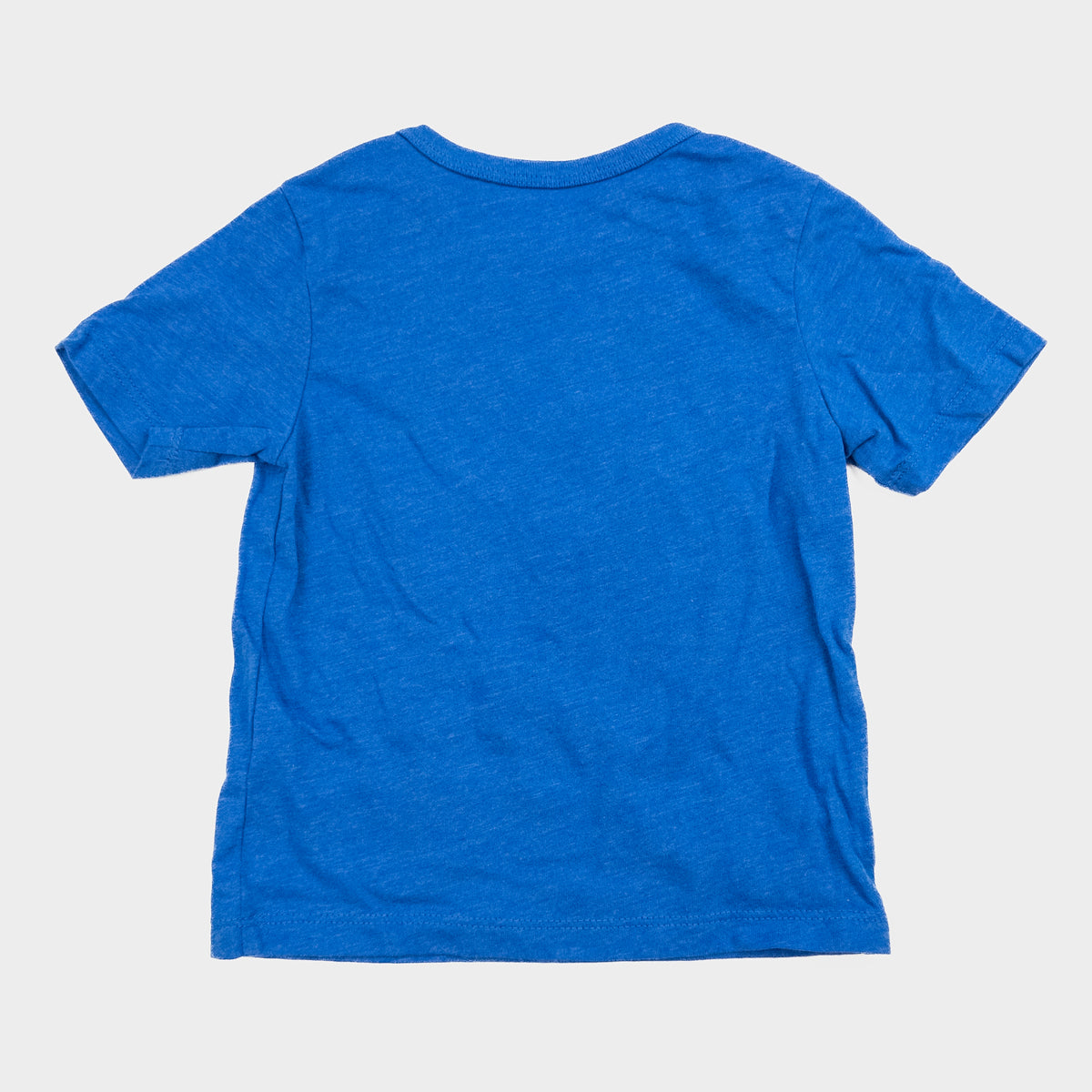 The Children's Place - T-shirt d'occasion pour garçon, 2 ans - vêtements seconde main Floralie