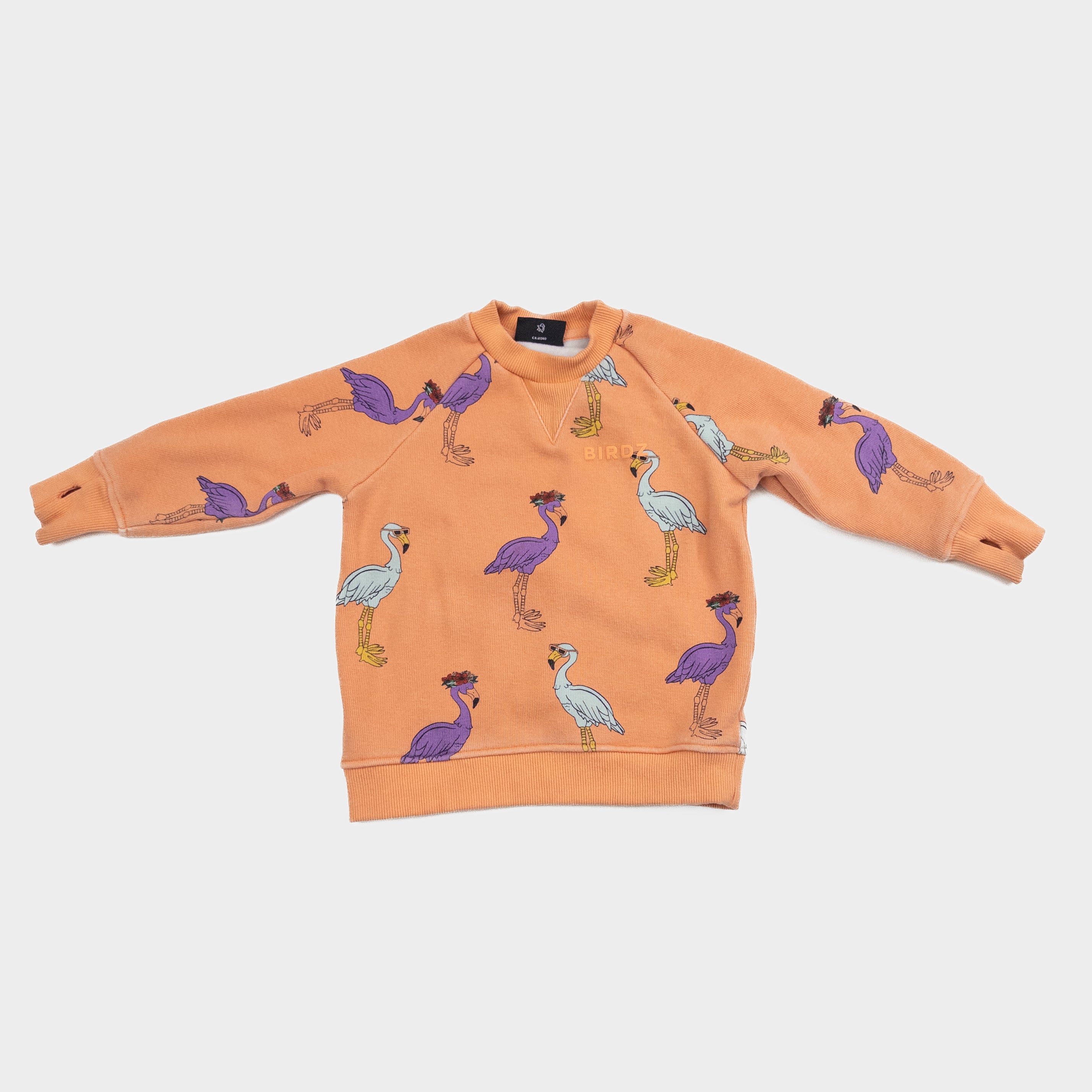 Birdz - Chandail - 2 ans