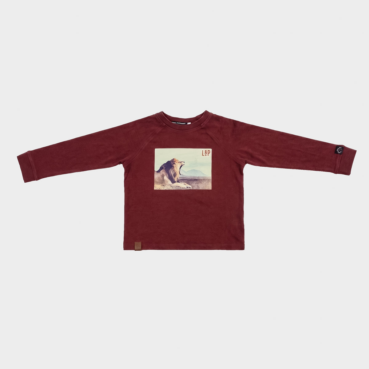 L&P Apparel - Chandail manches longues d'occasion pour garçon, 2-3 ans - vêtements seconde main Floralie