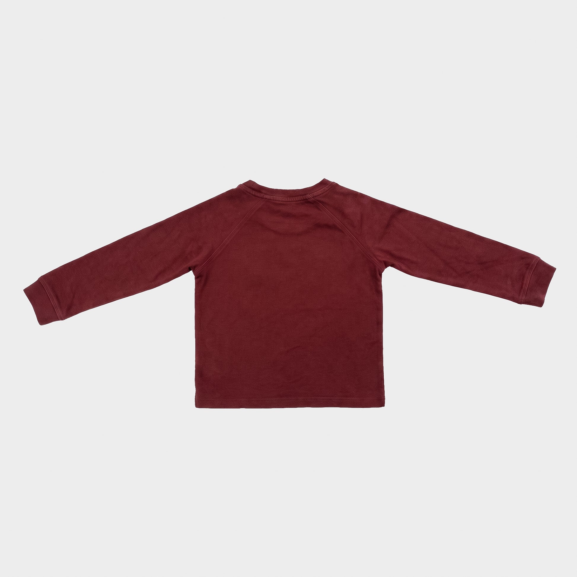 L&P Apparel - Chandail manches longues d'occasion pour garçon, 2-3 ans - vêtements seconde main Floralie